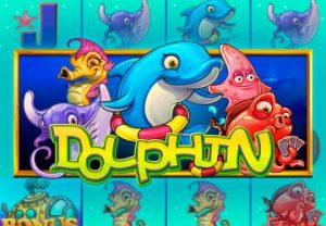 Dolphin Quest
